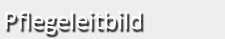 Pflegekassenkatalog